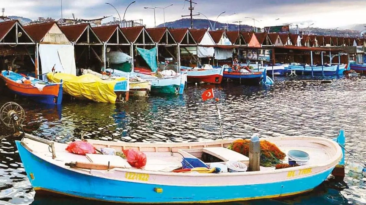 Trabzon’da balıkçı barınakları lüks villaya dönüştürülüp 7 milyon TL'ye satılıyor! Tapusuz yapılar karaborsaya düştü... 5