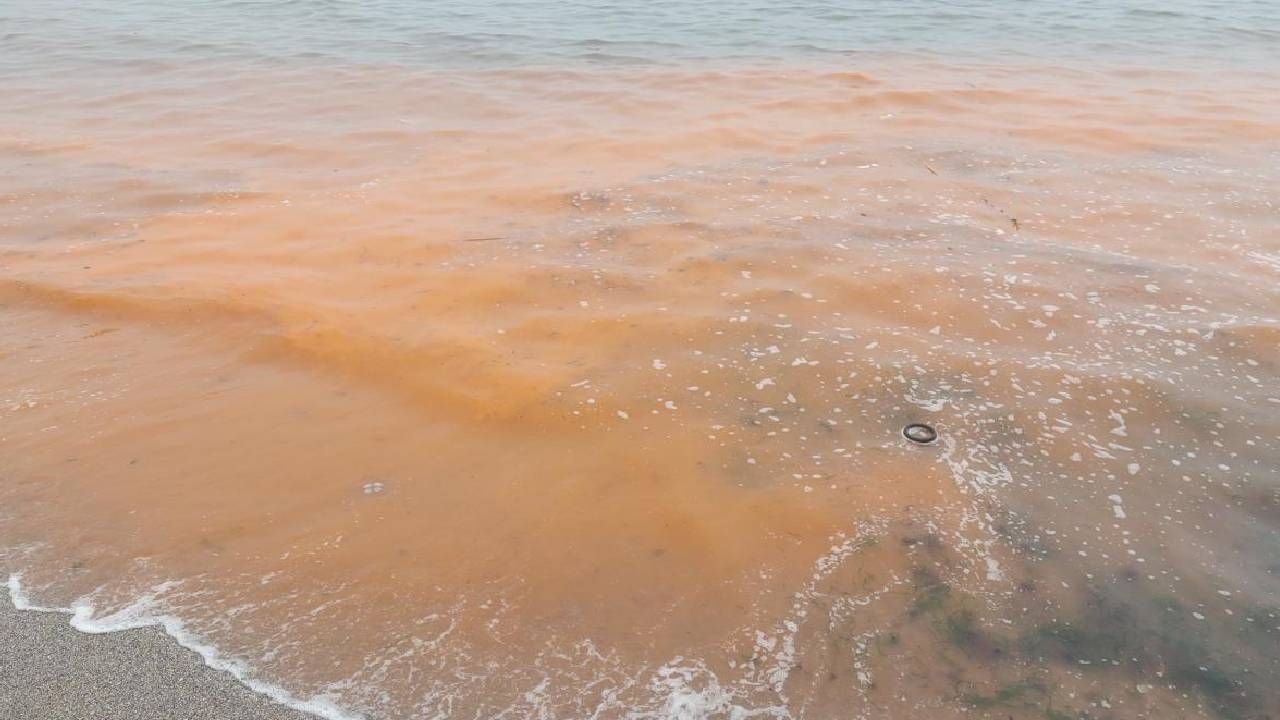 Meteoroloji uyardı: Türkiye’nin batısında kuvvetli sağanak ve su baskınları 5