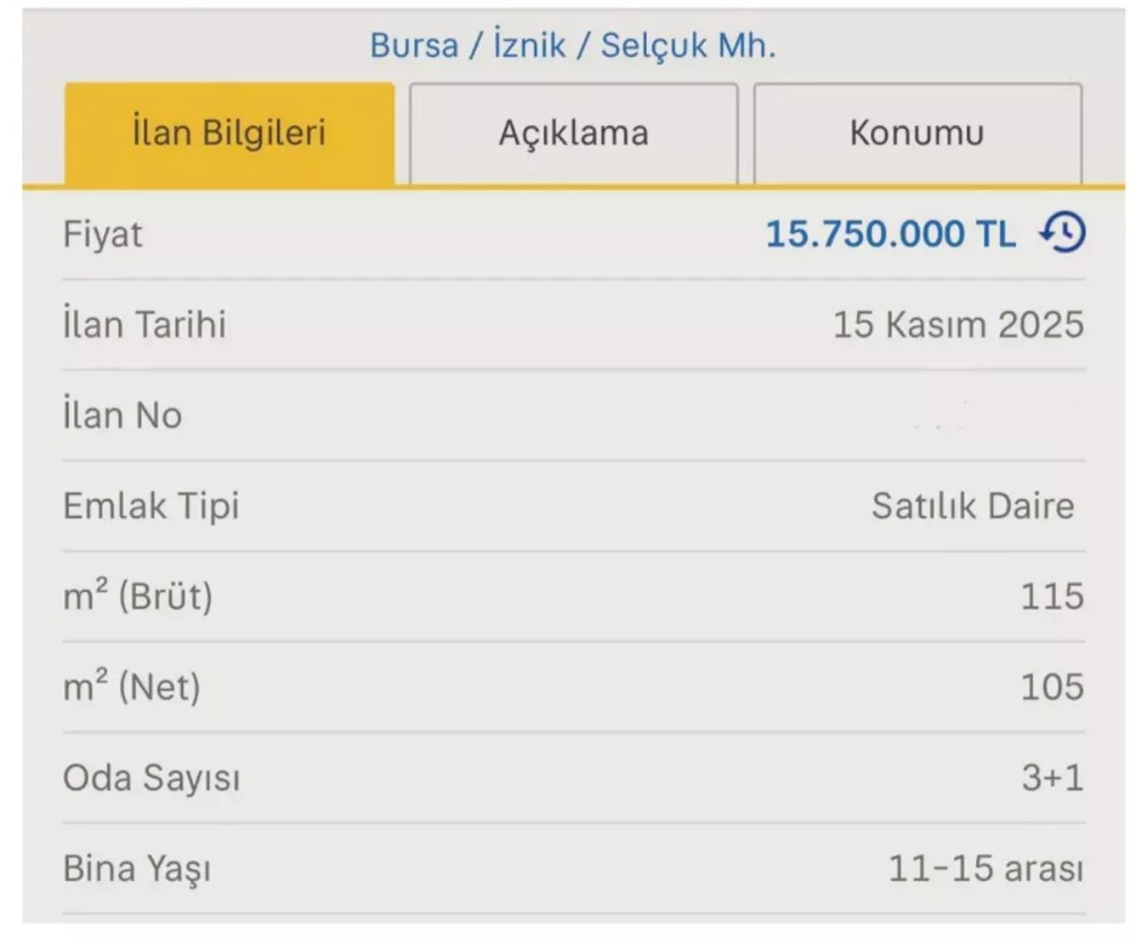 İznik'te Papa fırsatçılığı! Ev fiyatları, İstanbul'u bile solladı 4
