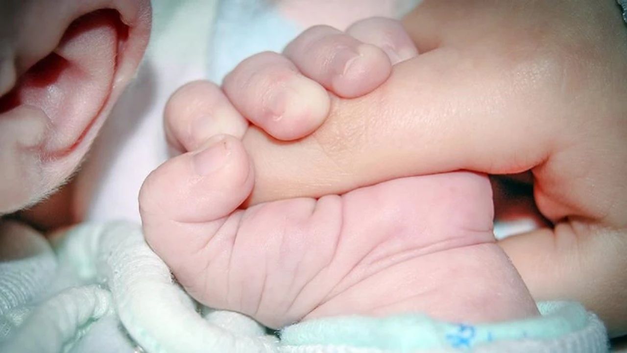 Kamu ve özel sektör ayrımı bitiyor! Doğum izni 24 haftaya çıkıyor 4