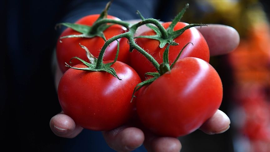 Dünya Sağlık Örgütü açıkladı! İşte kanseri azaltan yiyecekler 17