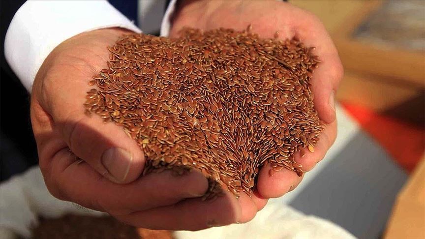 Dünya Sağlık Örgütü açıkladı! İşte kanseri azaltan yiyecekler 18