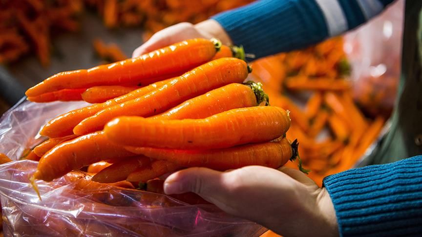 Dünya Sağlık Örgütü açıkladı! İşte kanseri azaltan yiyecekler 24