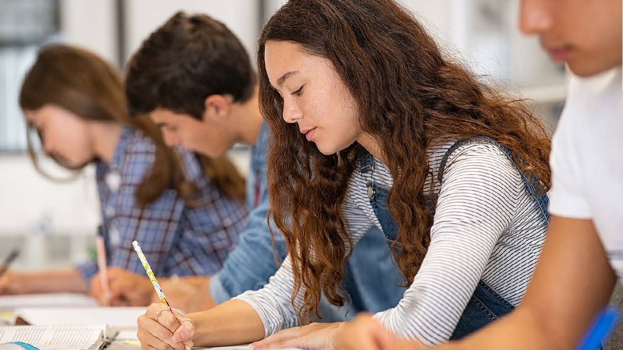 ÖSYM duyurdu: 2025 ALES/3 sonuçları açıklandı! ALES sonuç sorgulama ekranı 1