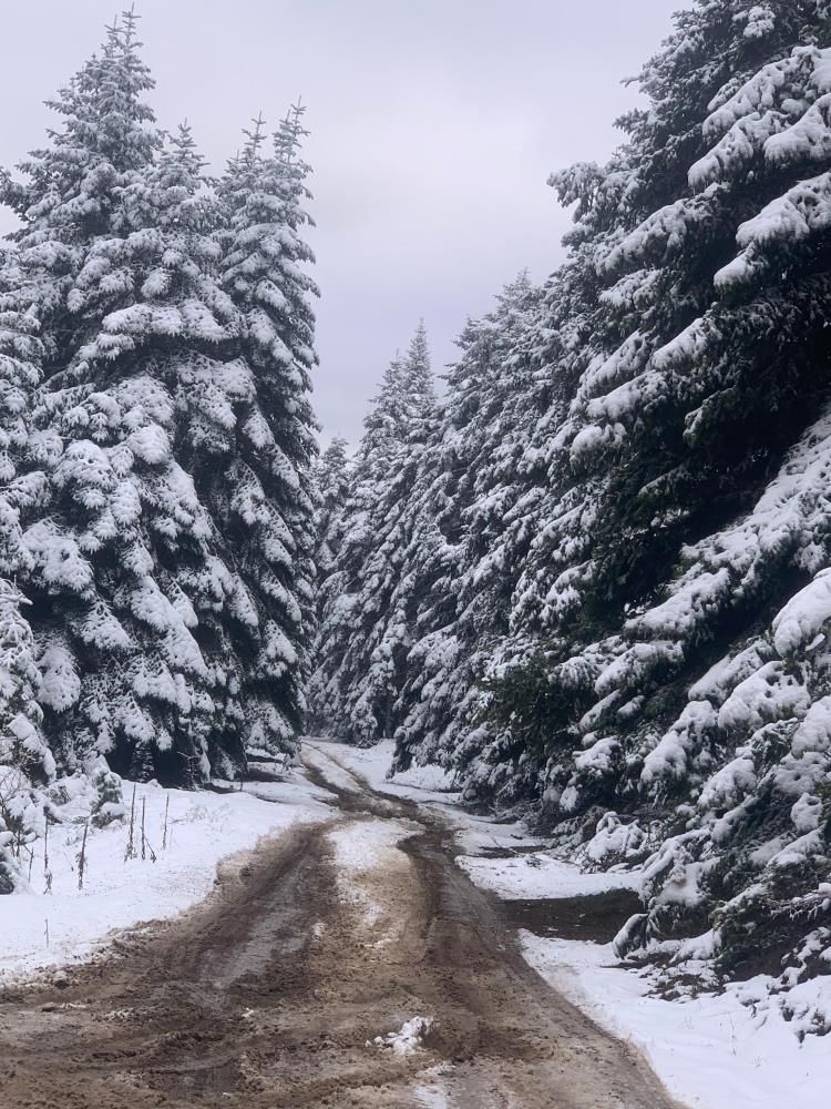 Bolu'nun yüksek kesimleri beyaza büründü! Kar kalınlığı 10 santimetreye ulaştı 5