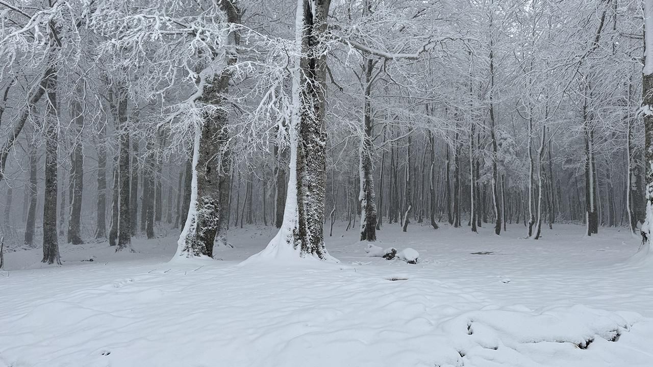 Meteoroloji uyardı! Bu şehirlere lapa lapa kar yağacak 13