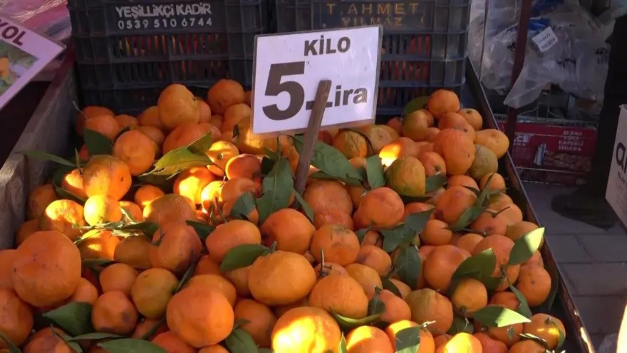 Pazarın en ucuz meyvesi oldu! Kilosu 5 TL'ye düştü 4