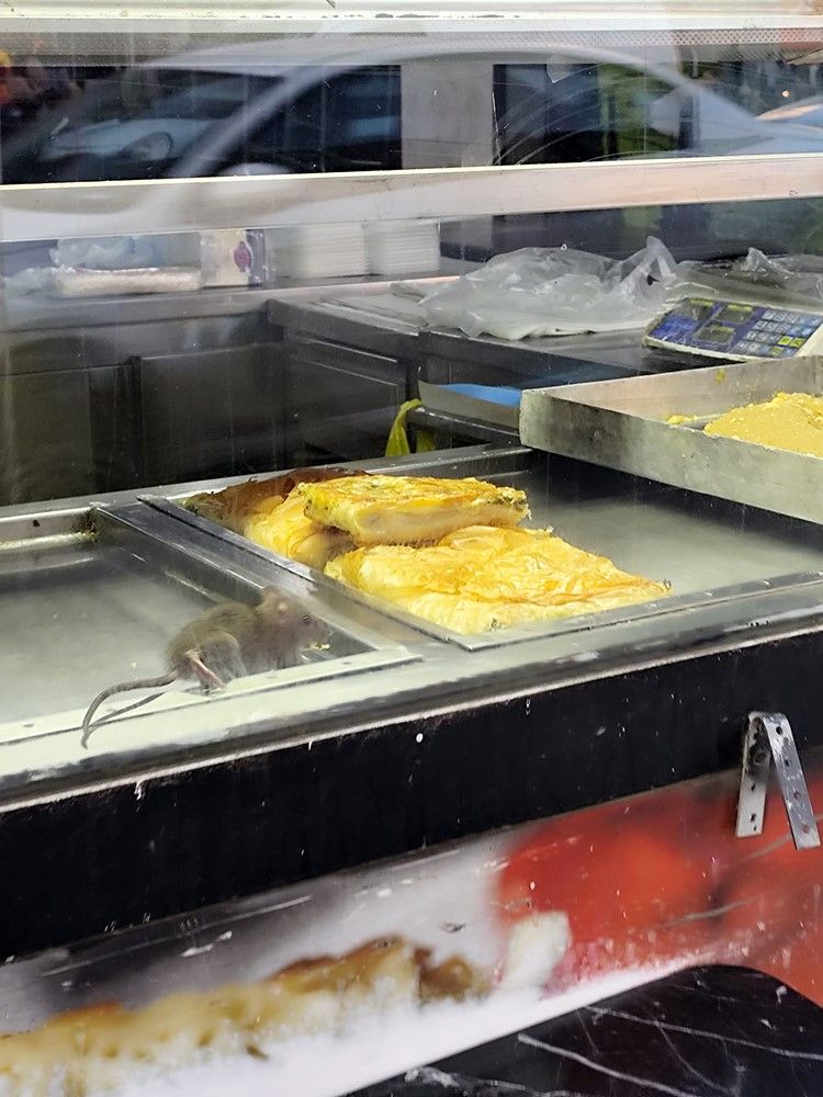 İzmir Buca'da "yok artık" dedirten anlar! Börek tezgahında fareler cirit atıyor... 5