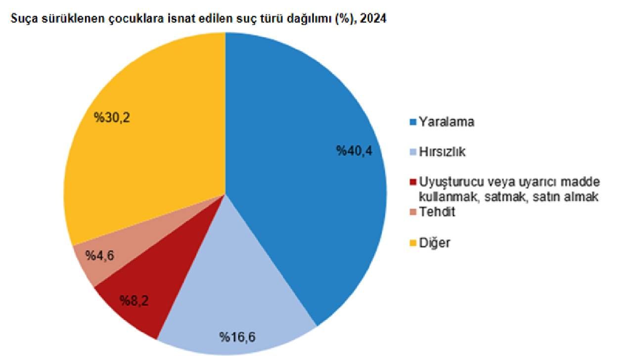 Çete tuzağı büyüyor! TÜİK verileri alarm verdi: 2024’te 202 bin çocuk suça sürüklendi 6