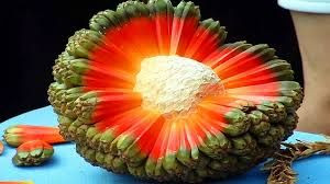 Dünyanın en ilginç meyveleri: Durian, Hala, Rambutan, Akebya 5
