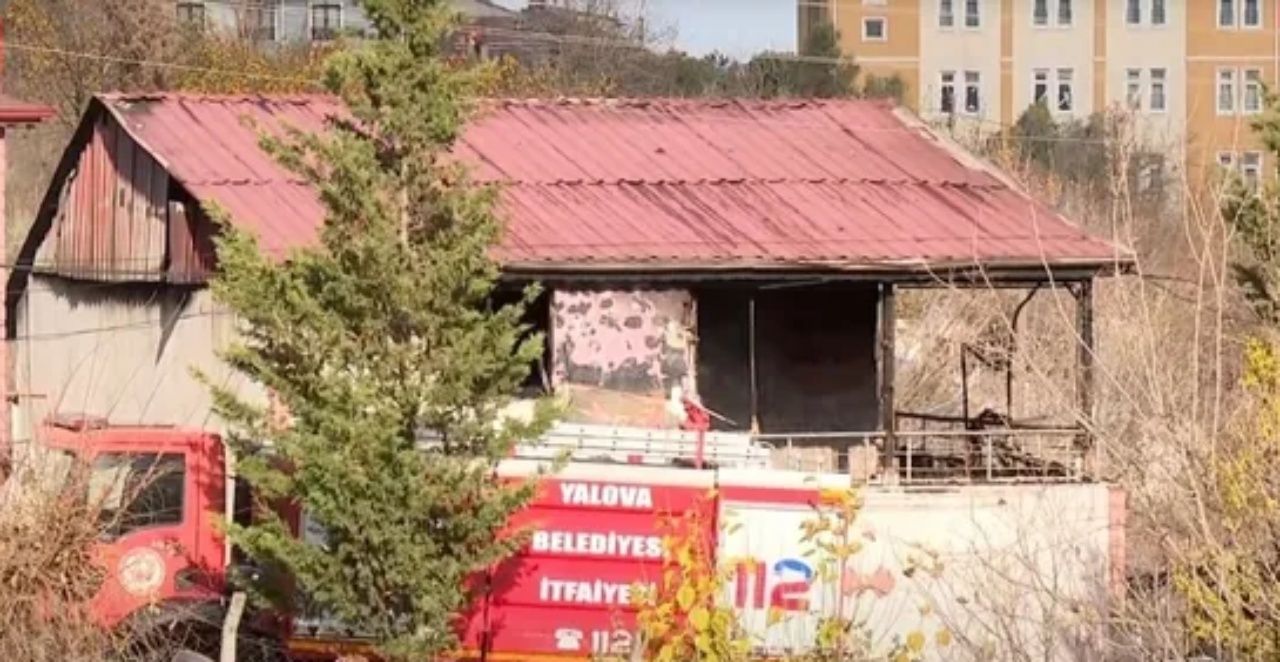 Bebekleri kalkan yaptılar... DEAŞ operasyonunda çatışmanın yaşandığı ev ilk kez görüntülendi! 8
