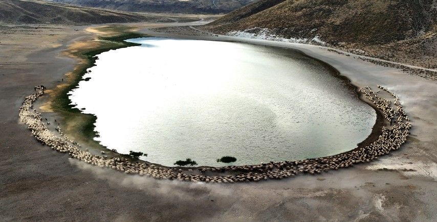 En iyiler belirlendi! İşte 2025'e damga vuran o fotoğraflar 48