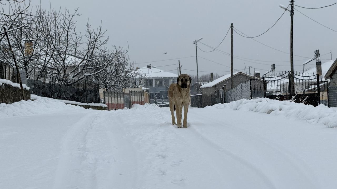 54 ilde kar alarmı! Tarih verildi: Lapa lapa yağacak 10