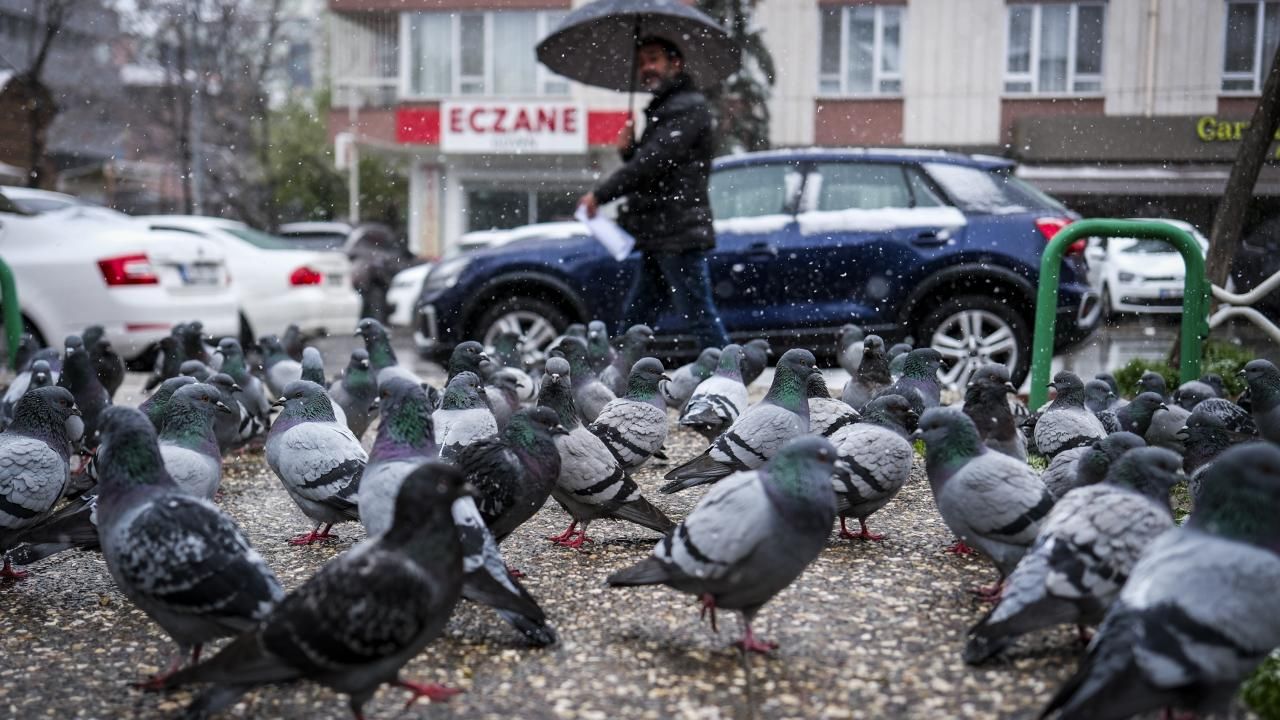 54 ilde kar alarmı! Tarih verildi: Lapa lapa yağacak 30
