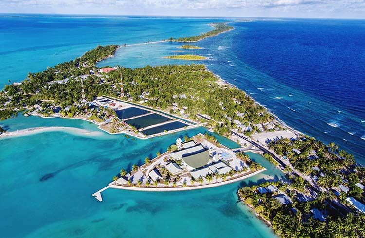 2026’ya ilk giren ülke Kiribati oldu! Noel Adası nerede, hangi kıtada? 2