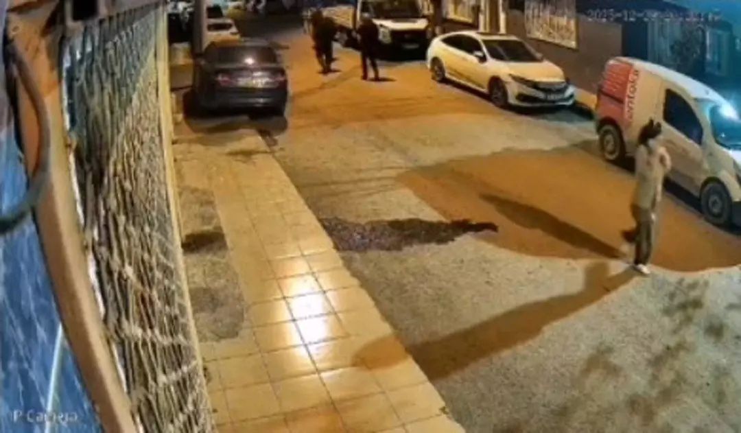 Kayıp Mihriban Yılmaz'dan acı haber! Ormanda cesedi bulundu! Kan donduran itiraf geldi: Boğup toprağa gömdüm! 9