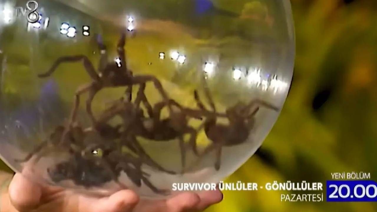 Kaybeden takıma ne olacak? RTÜK nedeniyle TV’de yayınlanmayacak o ceza 4