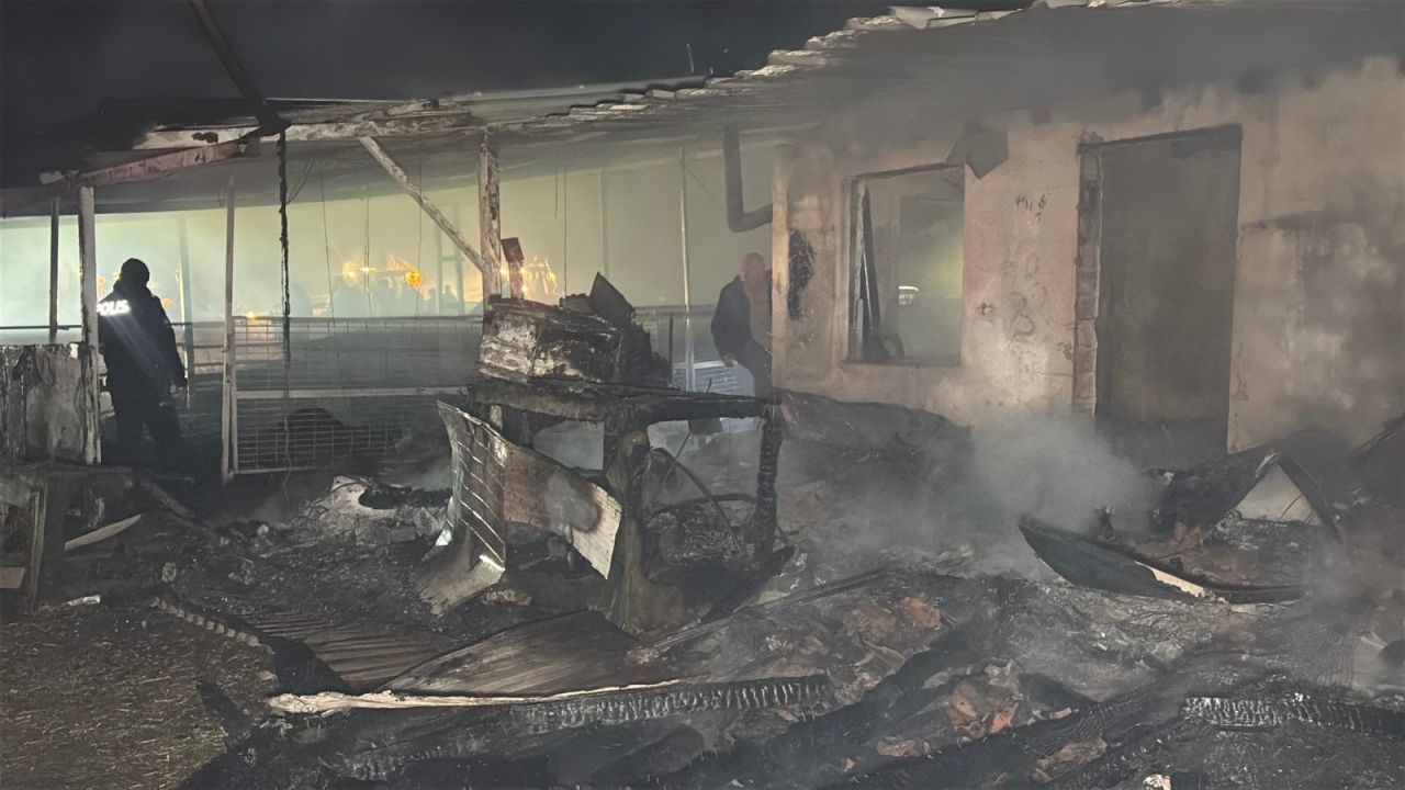 Tekirdağ'da çiftlik yangını! 60 küçükbaş telef oldu 4