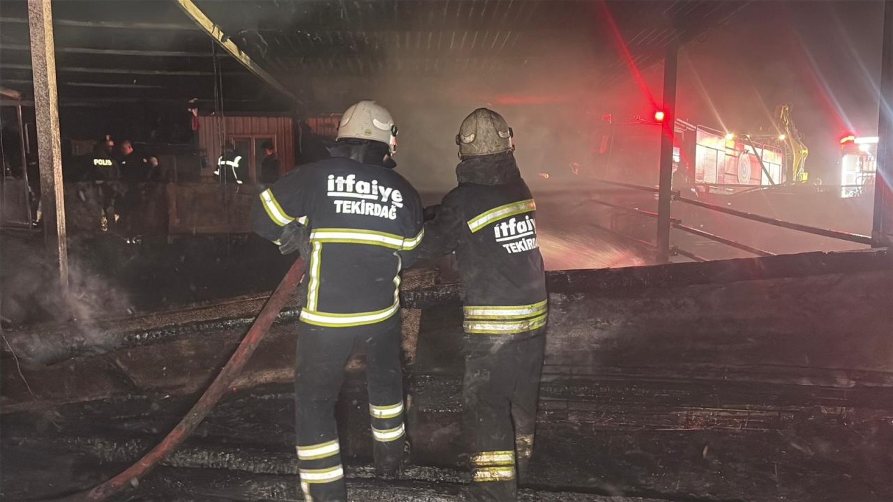 Tekirdağ'da çiftlik yangını! 60 küçükbaş telef oldu 3