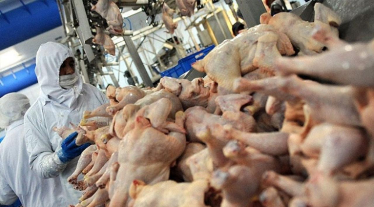 Haksız fiyat artışı sonrası Bakanlık harekete geçti! Kanatlı eti ihracatı bugün itibariyle durduruldu 5