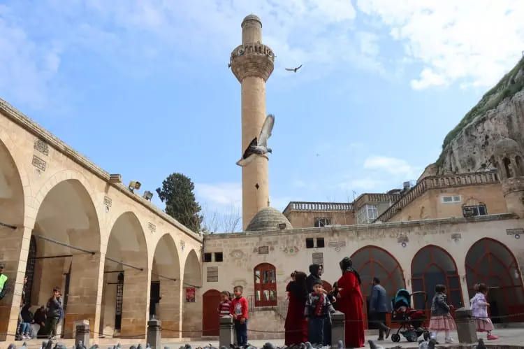 Türkiye'nin cami haritası güncellendi! İşte il il cami başına düşen kişi sayısı 45