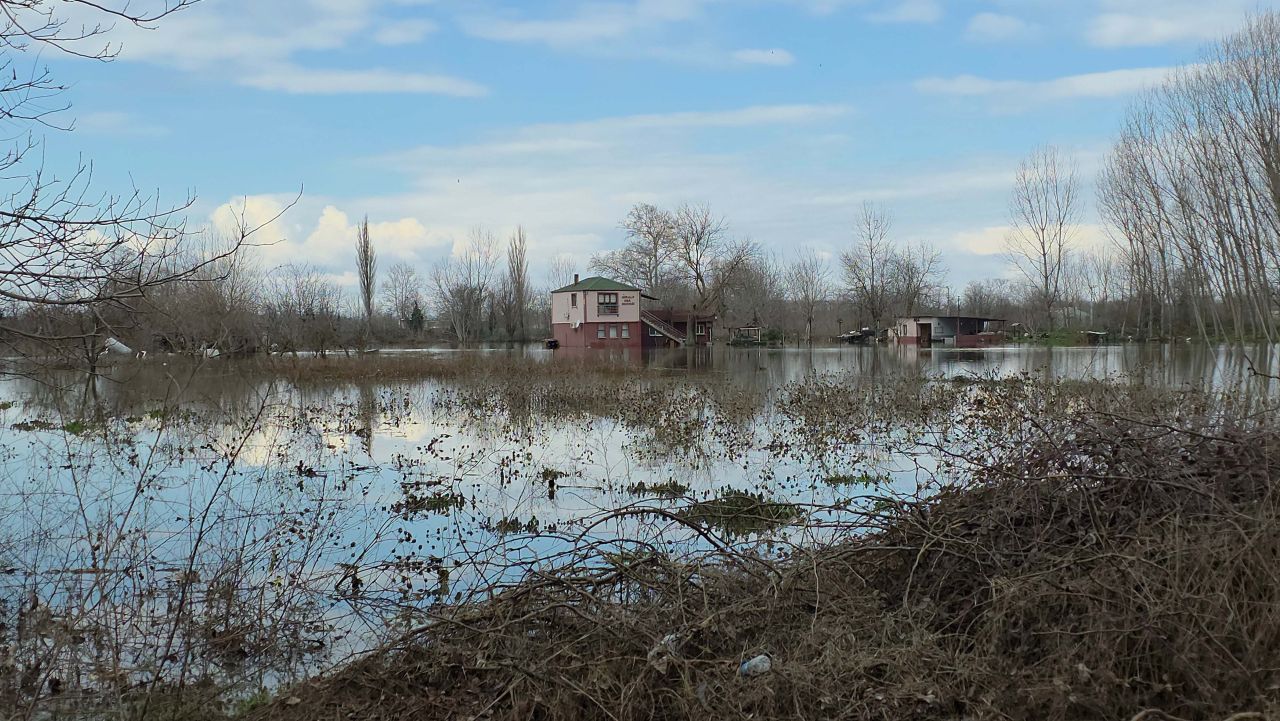 Edirne'de taşkın suları çekiliyor 5