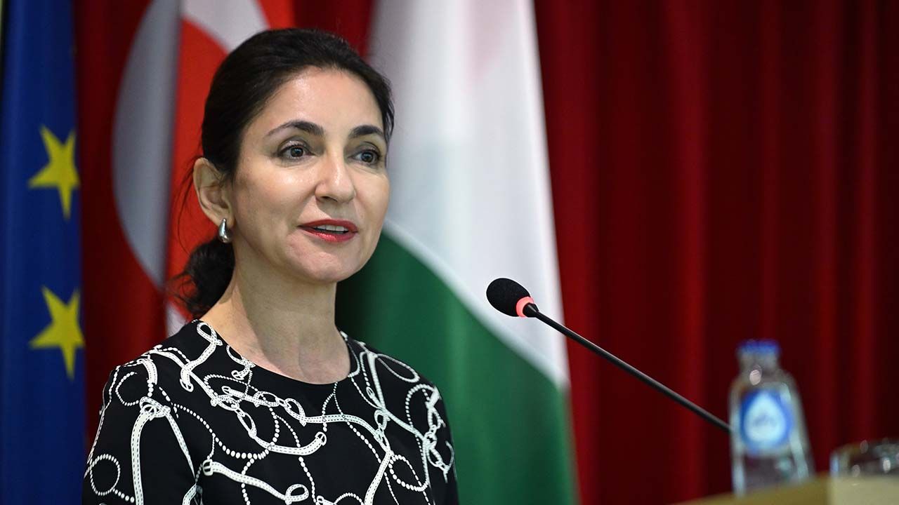 Türkiye'nin AB Daimi Temsilcisi Büyükelçi Yaprak Balkan: Türkiye, Avrupa rekabet stratejisinin parçası olarak görülmeli 4