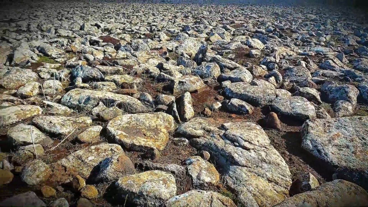 Böyle yığınak görülmedi! Volkanik taşlar altında cephanelik: 8 gözaltı 1