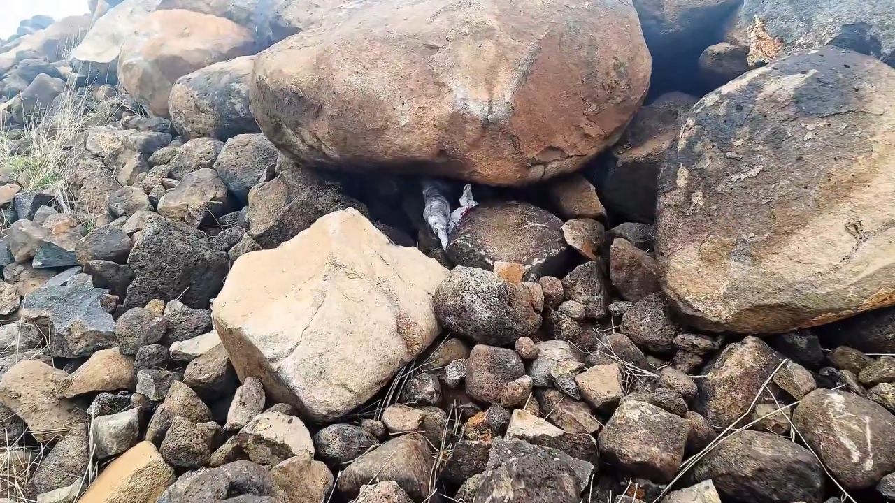 Böyle yığınak görülmedi! Volkanik taşlar altında cephanelik: 8 gözaltı 4