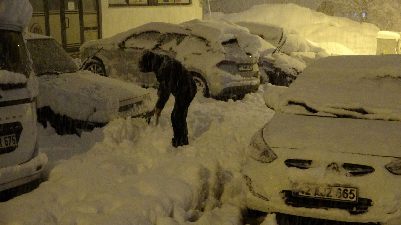 Bitlis'te kent merkezi beyaza büründü 2