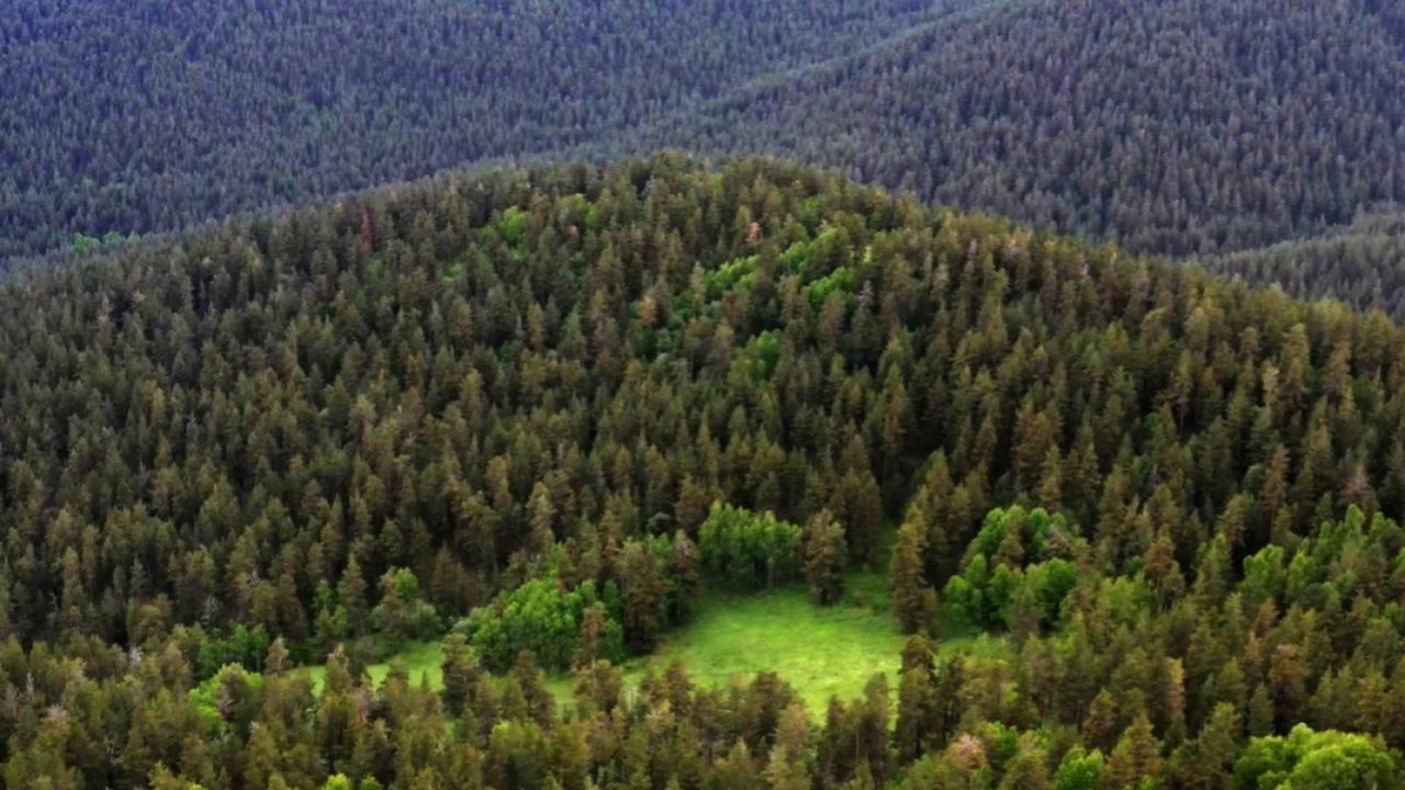 Teklif Meclis'ten geçti: Milli parklarda yeni dönem 3