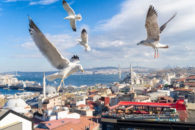 İlber Ortaylı'dan geriye kalanlar! İstanbul gezi rotası... 8