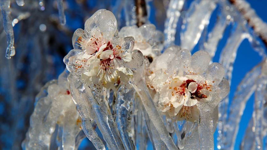 Meteoroloji'den uyarı geldi: Birçok bölgeyi etkileyecek 2