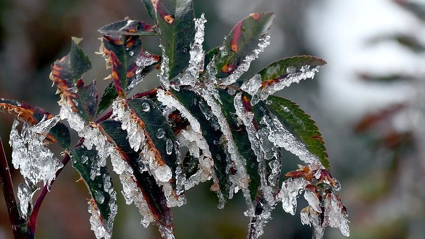 Meteoroloji'den uyarı geldi: Birçok bölgeyi etkileyecek 3