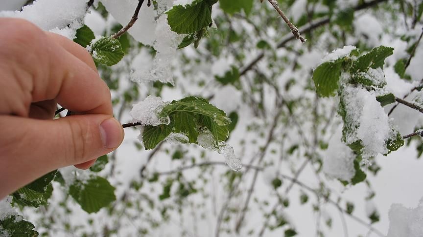 Meteoroloji'den uyarı geldi: Birçok bölgeyi etkileyecek 4