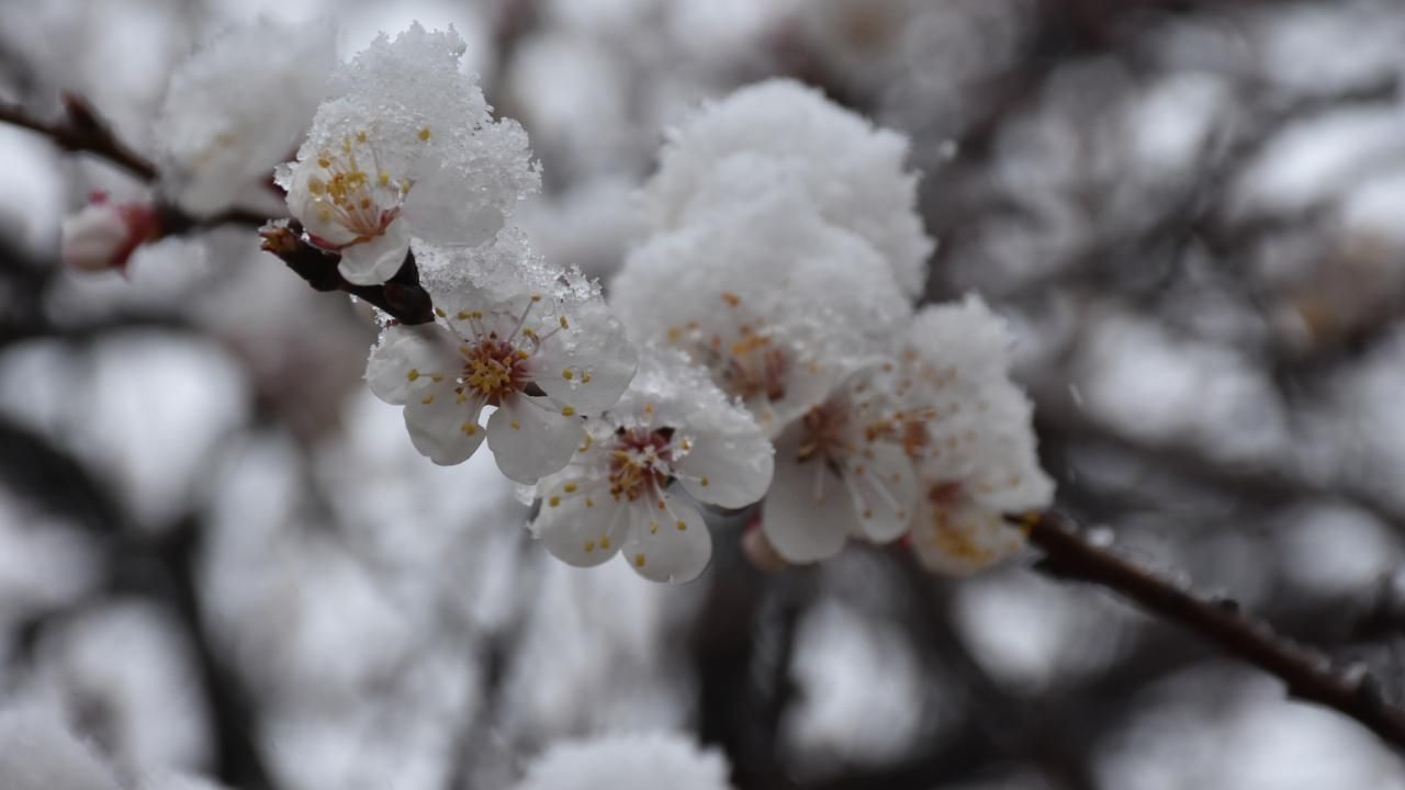 Meteoroloji'den uyarı geldi: Birçok bölgeyi etkileyecek 7