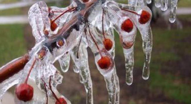 Meteoroloji'den uyarı geldi: Birçok bölgeyi etkileyecek 9