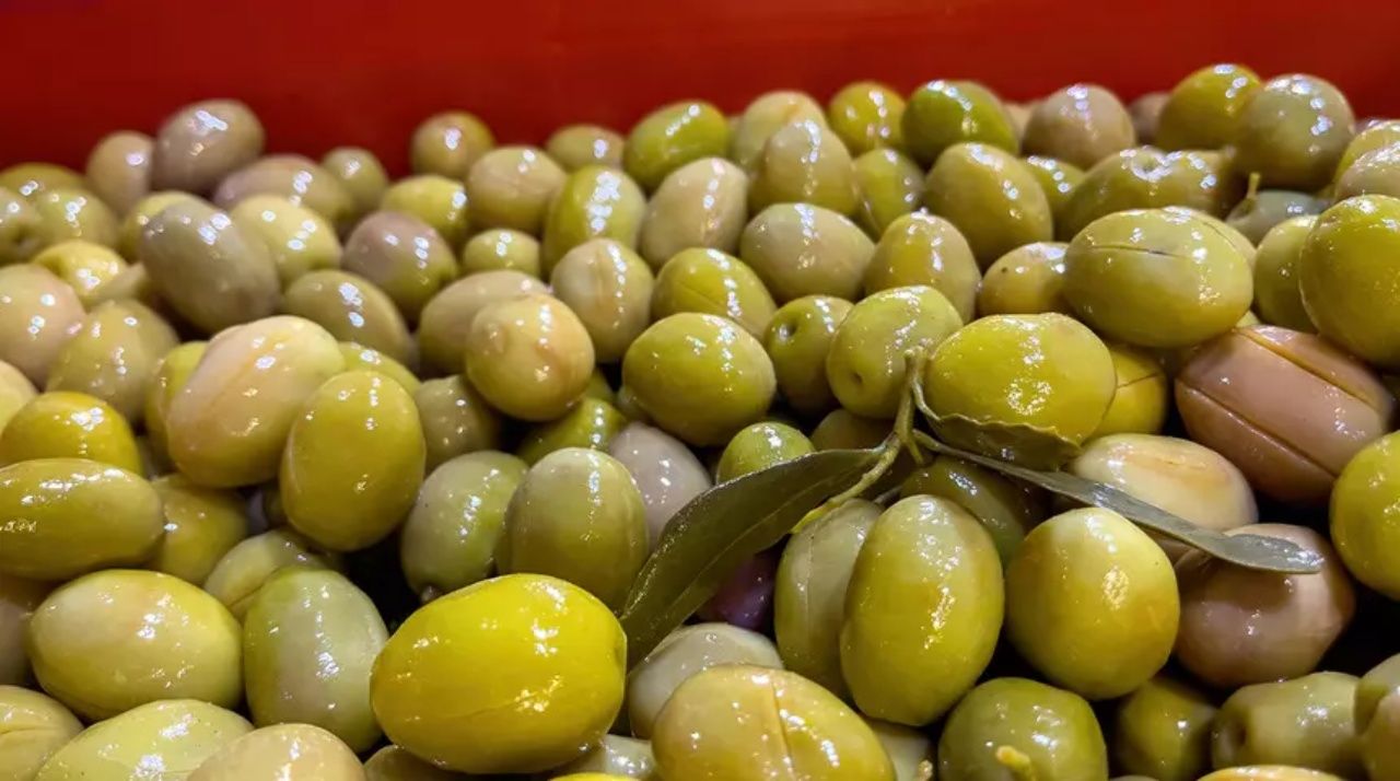 Türkiye'nin 40 yıllık zeytin firması batıyor mu? BAKTAT konkordato sürecine girdi 1