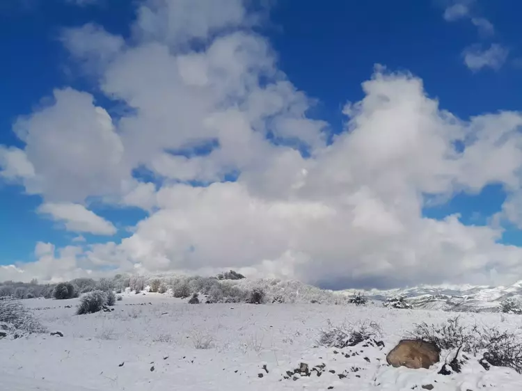 Doğu Karadeniz’de nisan ayında kar yağdı 6