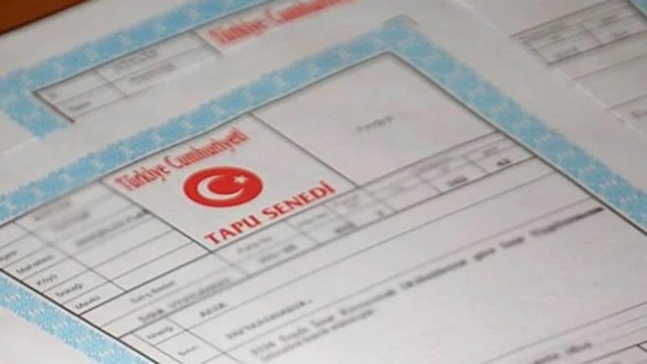 Alan da satan da sorumlu olacak! "Tapuda gerçek beyan" dönemi başladı! Yüzde 100 ceza geliyor 5