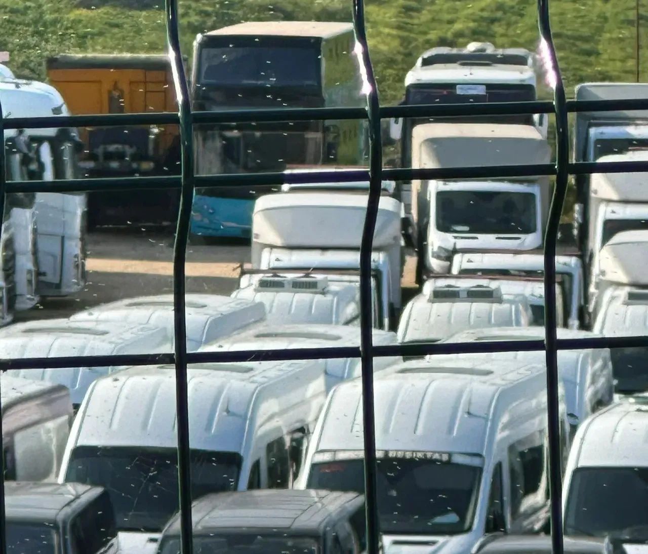 TMSF'den kaçırılan hayalet filo! Aziz İhsan Aktaş'ın 2 bin aracı dağ başında zulalandı... Belediye logolarıyla gizlediler! 5