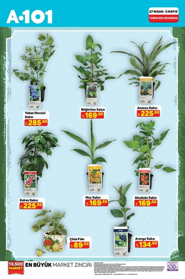 A101 30 Nisan-3 Mayıs Tazenin Yıldızları Kataloğu yayımlandı 4