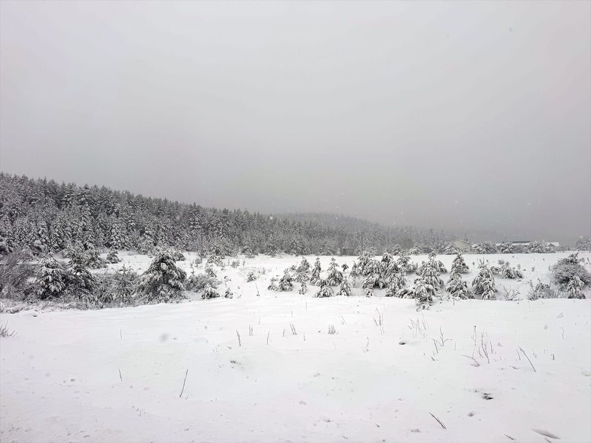 Mayıs ayında kara kış geldi! Bazı illerde kar etkili oldu 3