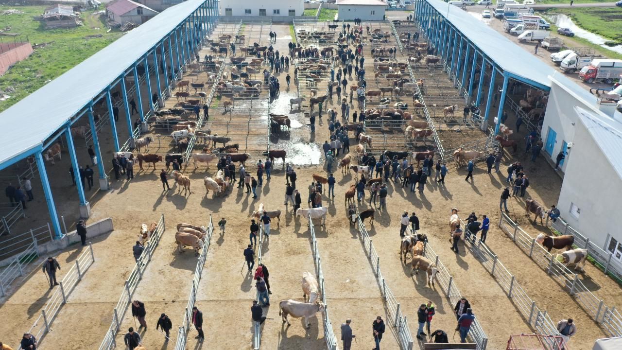 Vekaletle kurban kesiminde dikkat edilmesi gerekenler 9
