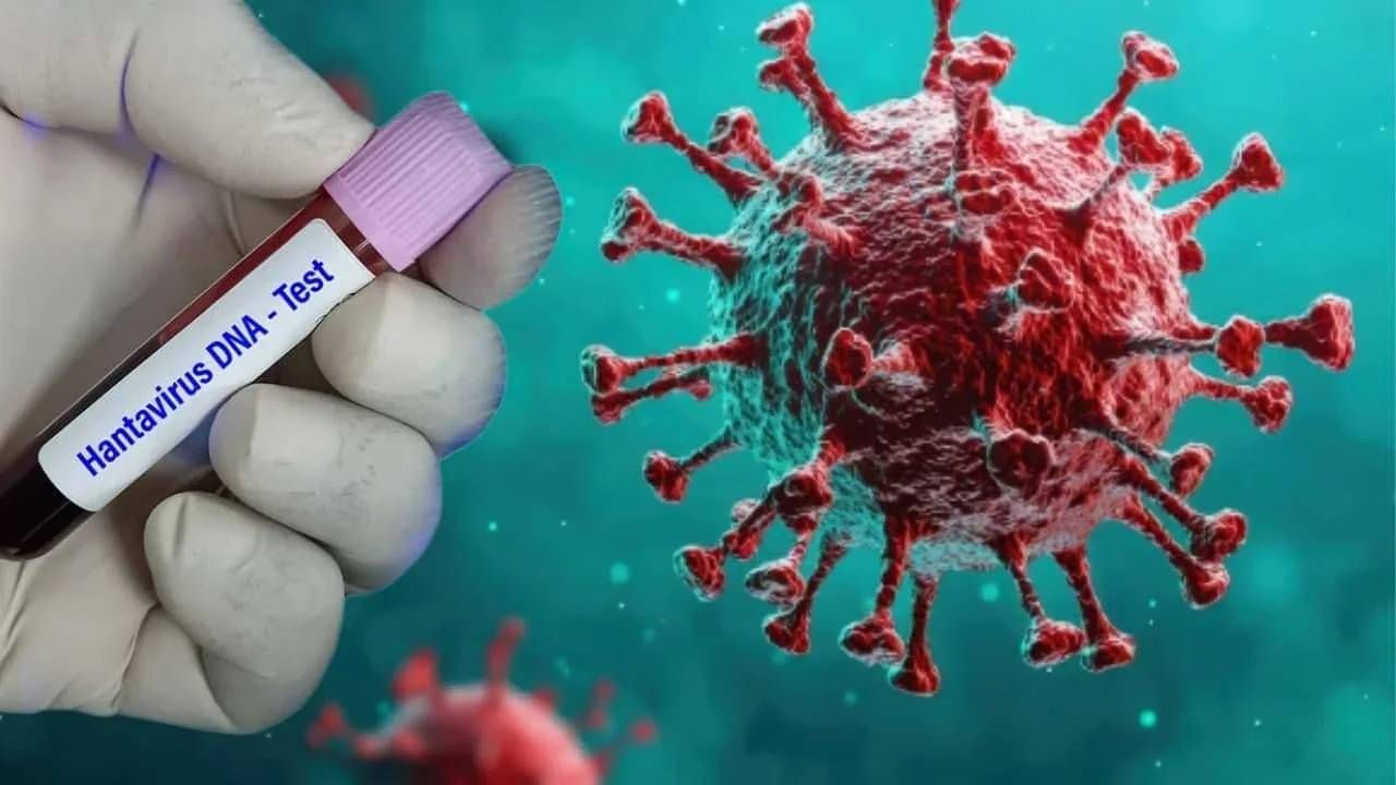 Dünya kırmızı alarmda! Aralarında Türkiye'de var: DSÖ'den 12 ülkeye ölümcül virüs uyarısı 4