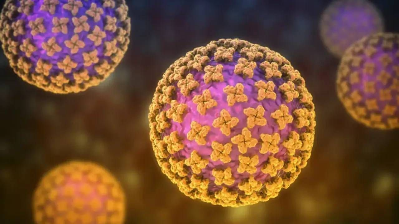 Dünya kırmızı alarmda! Aralarında Türkiye'de var: DSÖ'den 12 ülkeye ölümcül virüs uyarısı 2