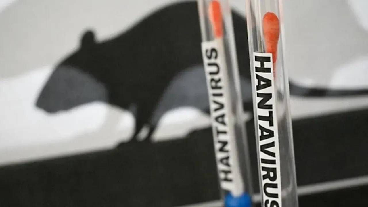 Asıl felaket şimdi başlayacak! Hantavirüs gemisinde akılalmaz ihmal: Ruhi Çenet tek tek anlattı 5