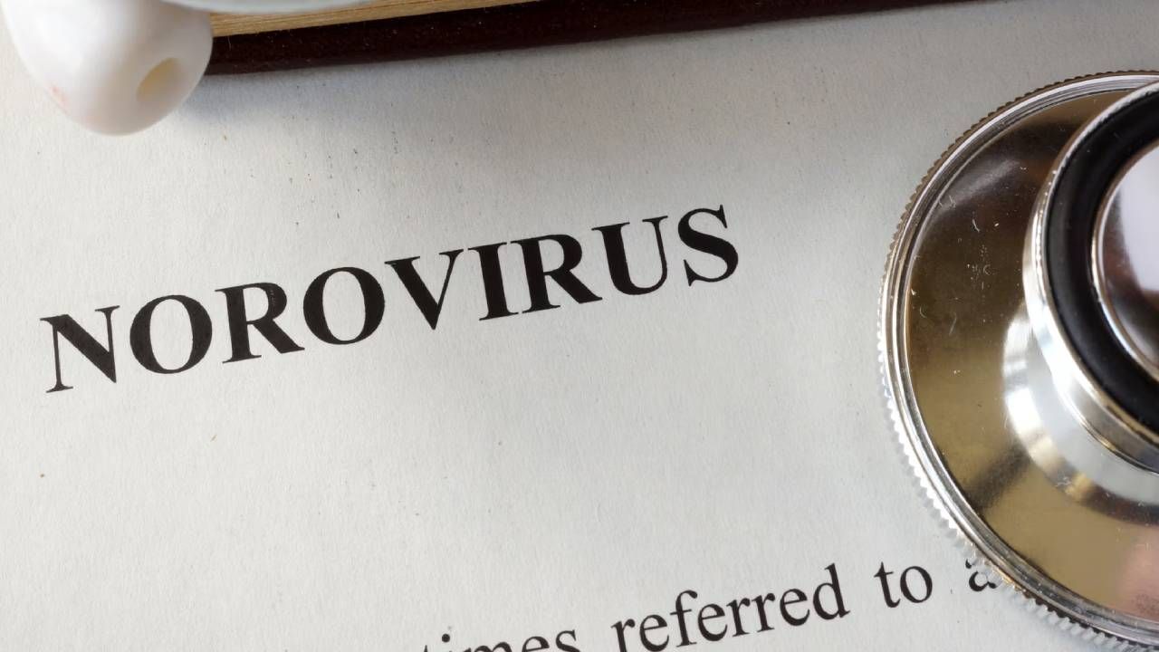 1 ay boyunca vücutta saklanıyor! Dezenfekten bile durduramıyor: İşte Norovirüs hakkında tüm bilinmeyenler 2
