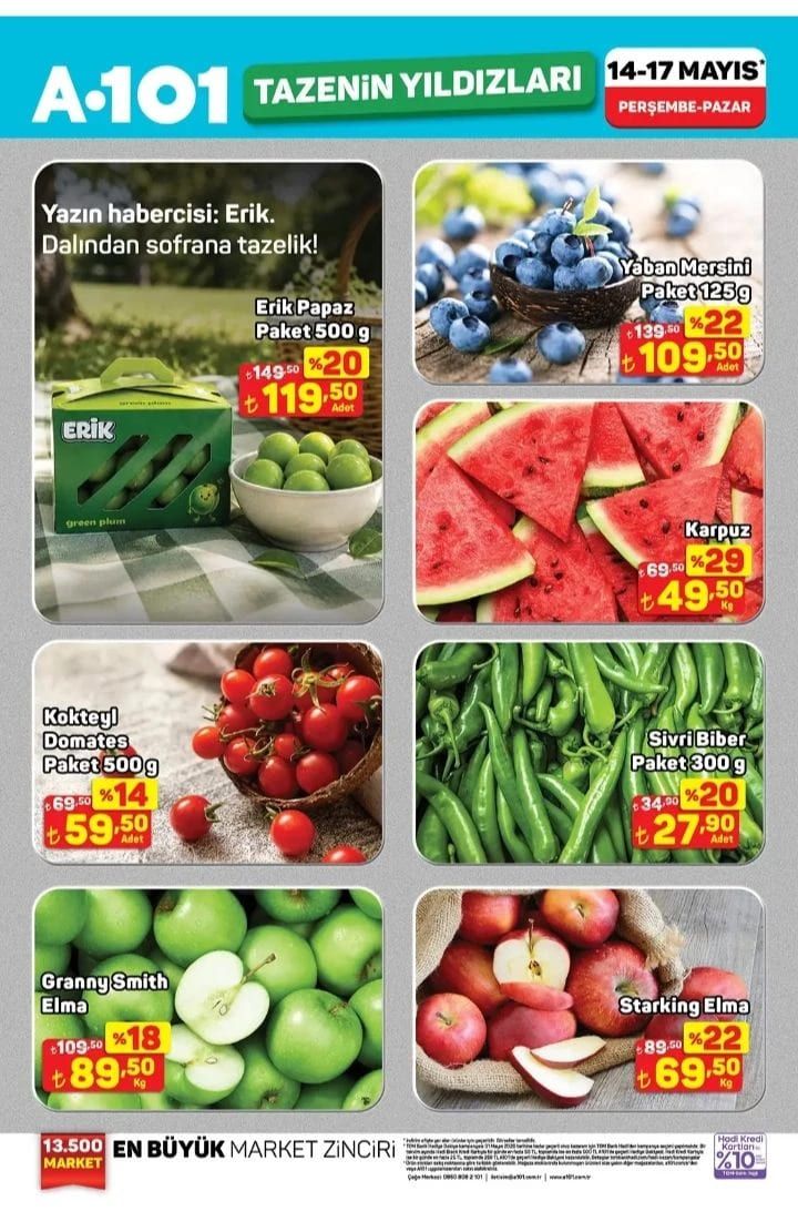 A101 14-17 Mayıs Tazenin Yıldızları Kataloğu yayımlandı 2