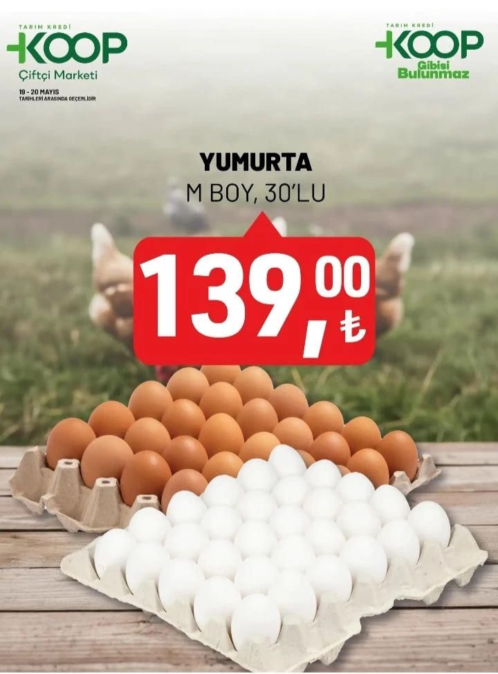 Tarım Kredi 19-31 Mayıs 2026 aktüel ürünler kataloğu yayımlandı! 6